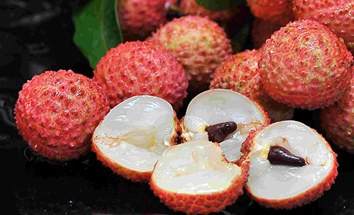 日啖荔枝三百颗,不辞长作岭南人