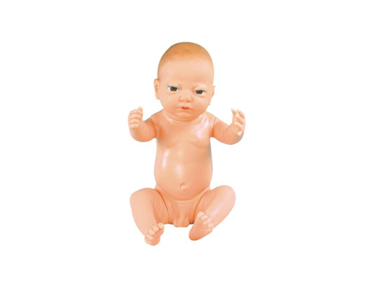 高级满月婴儿模型(男婴\女婴任选)