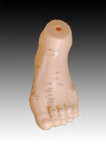 足针灸模型17CM