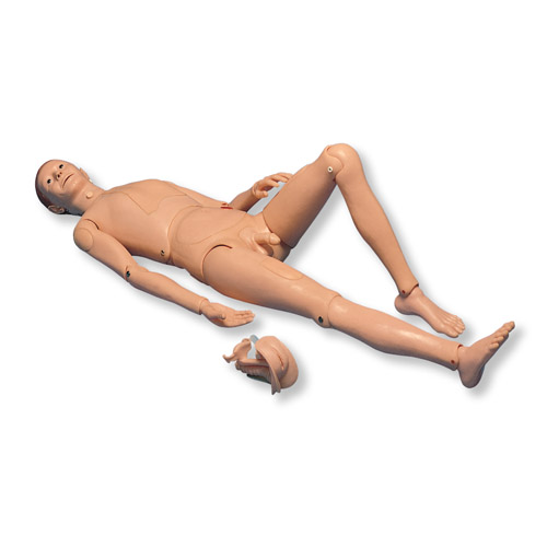 3B Scientific®病人护理模型II