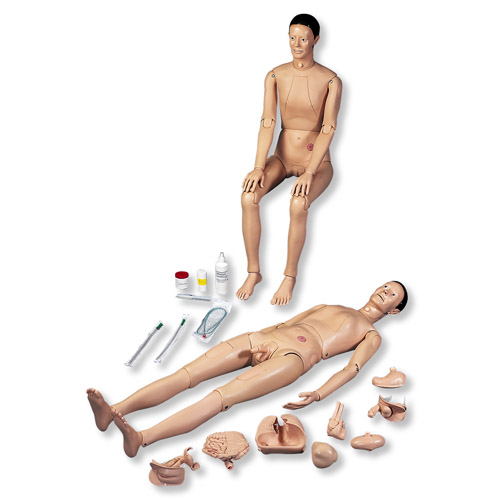 3B Scientific®病人护理模型I