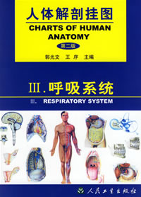 《人体解剖挂图》-呼吸系统挂图（12张）