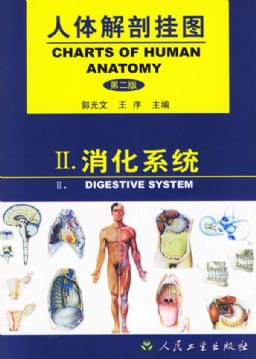 《人体解剖挂图》-消化系统挂图（25张）