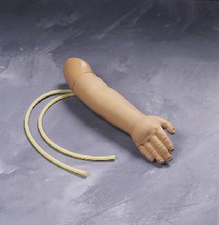 婴儿动脉训练手臂