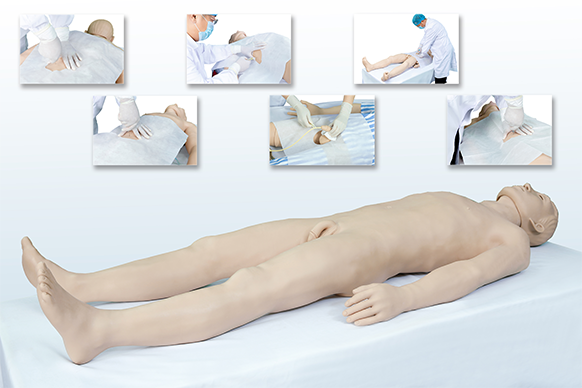 综合穿刺术高仿真标准化病人（腹腔、骨髓、深静脉、淋巴结、膀胱穿刺术）