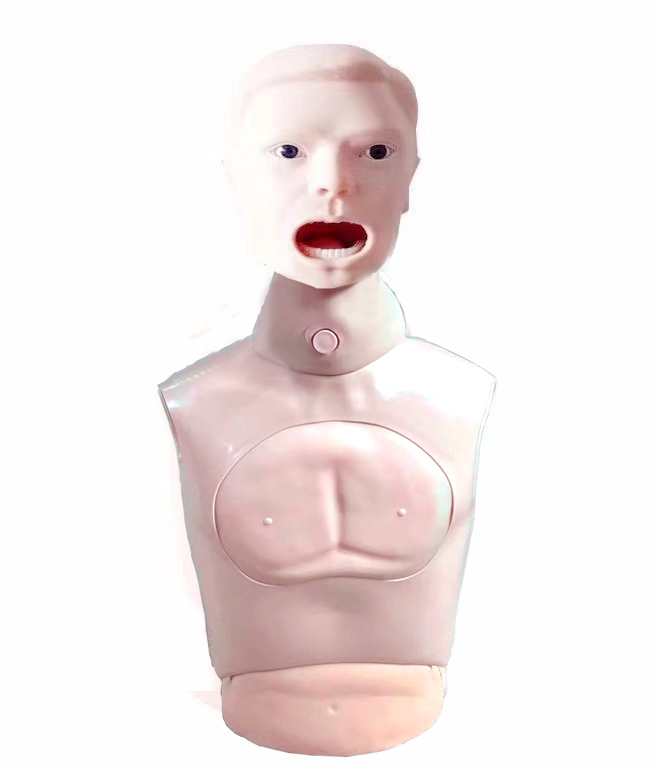 高级鼻咽拭子训练模型