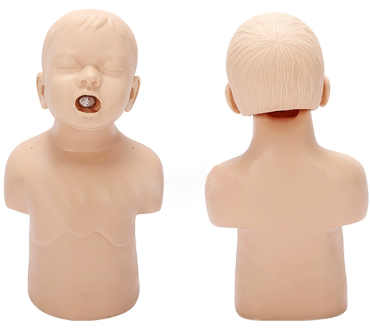 儿童海姆立克模型（幼儿窒息模型）